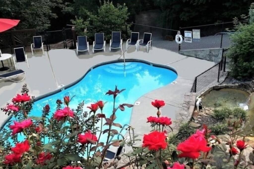 Spacious Smokies Cabin - Hot Tub With Mountain Views ガトリンバーグ エクステリア 写真